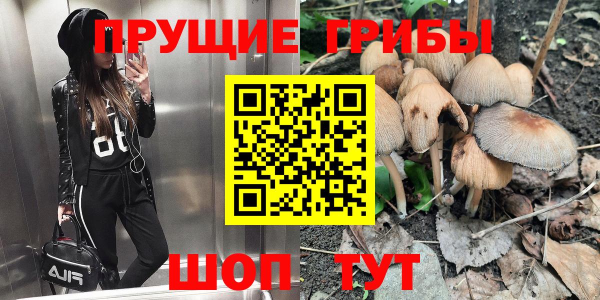 Шадринск  Псилоцибиновые грибы Psilocybe  наркота  Вход с VPN 