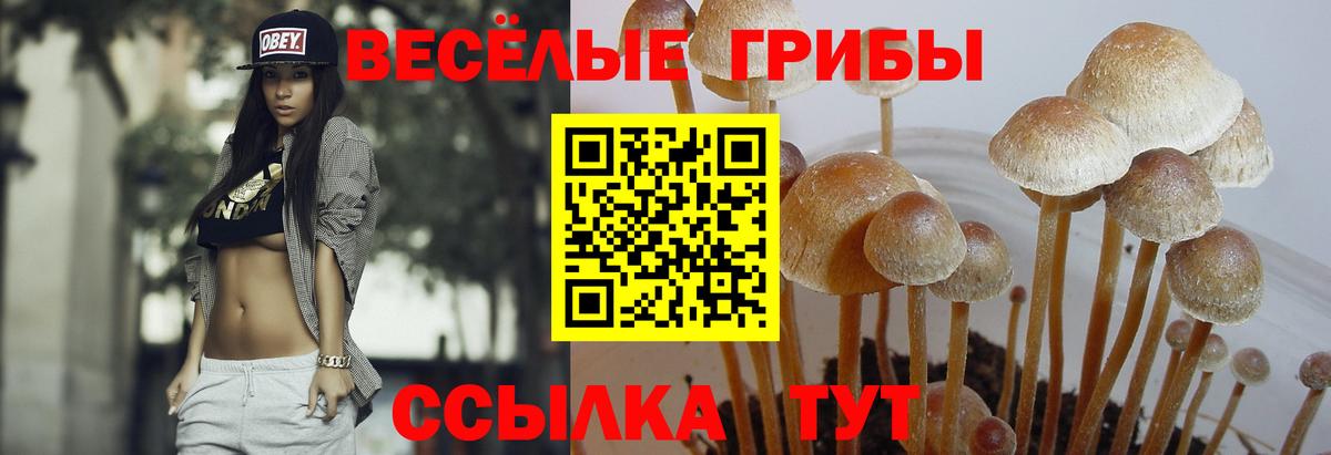 Псилоцибиновые грибы ЛСД Шадринск